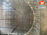 हीट एक्सचेंजर के लिए ASTM A182 316L स्टेनलेस स्टील जाली ट्यूब शीट