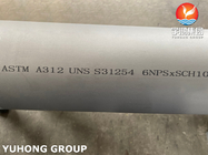 ASTM A312 UNS S31254 सीमलेस डुप्लेक्स स्टील बॉयलर पाइप