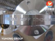 DIN2573 ASTM A182 F316L Flanges स्टेनलेस स्टील जाली Flanges पर पर्ची: