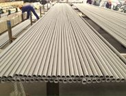 स्टेनलेस स्टील सीमलेस ट्यूब, ASTM A213 TP310S / 310H, 25.4 x 2.11 x 6096mm, मसालेदार, annealed, लकड़ी के मामले पैकिंग।