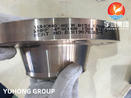 ASTM B151 C70600 तांबा निकेल मिश्र धातु वेल्ड गर्दन उठाया चेहरा फ्लैंज ASME B16.5