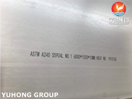ASTM A240 TP904L SS904L स्टेनलेस स्टील प्लेट / स्ट्रिप / शीट / कॉइल्स
