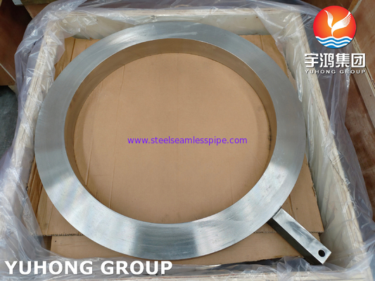 ASME SA182 F317L फोल्ड स्टेनलेस स्टील रिंग स्पेसर फ्लैंज पैडल स्पेसर