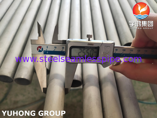 ASME SA789 / ASTM A789 S32205 डुप्लेक्स स्टेनलेस स्टील ट्यूब