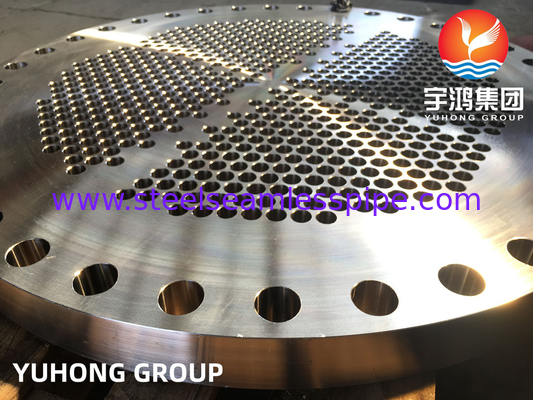 गर्मी एक्सचेंजर के लिए ASTM A182 F316L स्टेनलेस स्टील ट्यूब शीट