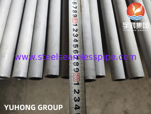 पेट्रोकेमिकल के लिए स्टेनलेस स्टील सीमलेस पाइप ASTM A312 TP321H