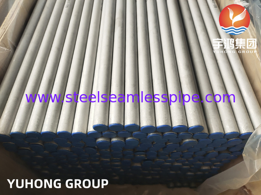 ASTM A213/ ASME SA213 TP317/ TP317L/TP317LMN स्टेनलेस स्टील सीमलेस ट्यूब