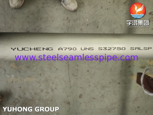 जल उपचार ASTM A790 UNS S32750 सीमलेस सुपर डुप्लेक्स स्टेनलेस स्टील पाइप