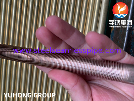 ASTM B111 C70600-O61 तांबा निकेल एकल स्टील कम फिनड ट्यूब