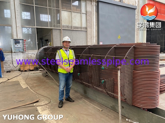 हीट एक्सचेंजर ट्यूब बंडल D-E1 A ASME SA213 T11 U Bend Tube With ASME SA-516 GR.70 (N, FGP) ट्यूबशीट ASME U STAMP