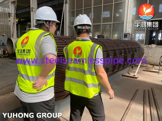 हीट एक्सचेंजर ट्यूब बंडल D-E1 A ASME SA213 T11 U Bend Tube With ASME SA-516 GR.70 (N, FGP) ट्यूबशीट ASME U STAMP