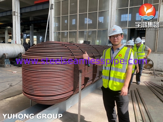 हीट एक्सचेंजर ट्यूब बंडल D-E1 A ASME SA213 T11 U Bend Tube With ASME SA-516 GR.70 (N, FGP) ट्यूबशीट ASME U STAMP