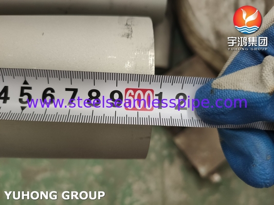 स्टेनलेस स्टील सीमलेस पाइप EN 10216-5 D2/T1 1.4404 TP316L तेल और गैस के लिए