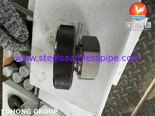 A105 कार्बन स्टील फिटिंग थ्रेड हेक्स हेड प्लग ASTM A105 ASME B16.11