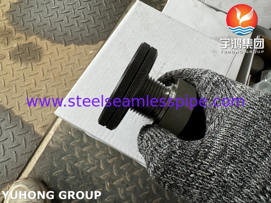 A105 कार्बन स्टील फिटिंग थ्रेड हेक्स हेड प्लग ASTM A105 ASME B16.11