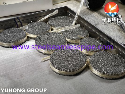 स्टेनलेस स्टील इंजेक्शन सुई ट्यूब, SUS304 16G पशु देखभाल के लिए पशु चिकित्सा सुई