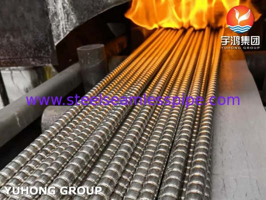 ASME SA312 / ASTM A312 TP310S हीट एक्सचेंजर के लिए नालीदार फिन ट्यूब
