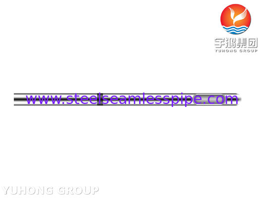 स्टेनलेस स्टील 304 एस्थेटिक फिलर इंजेक्शन के लिए चमड़े के नीचे भरने की बैट सुई ट्यूब