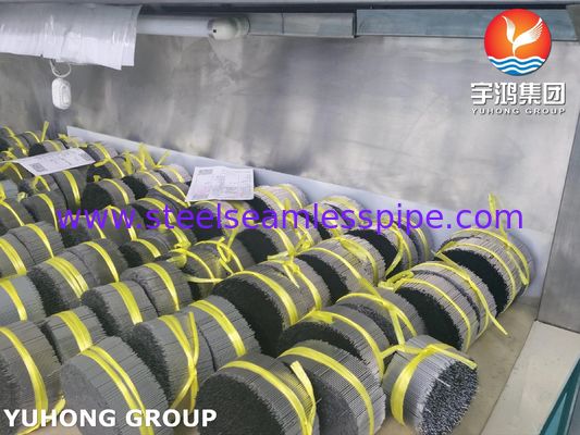 स्टेनलेस स्टील 304 एस्थेटिक फिलर इंजेक्शन के लिए चमड़े के नीचे भरने की बैट सुई ट्यूब