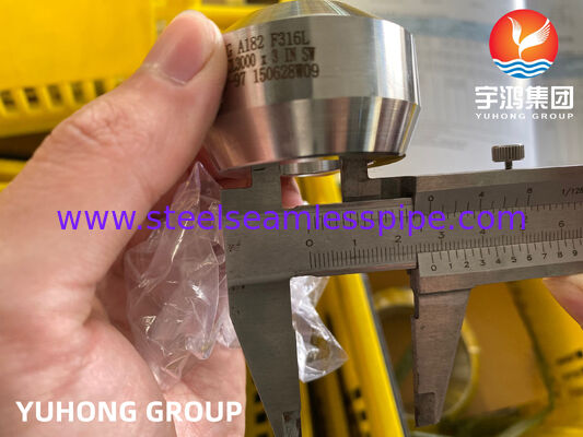 ASTM A182 F316/F316L स्टेनलेस स्टील फिटिंग वेल्डोलेट BW MSS-SP-97