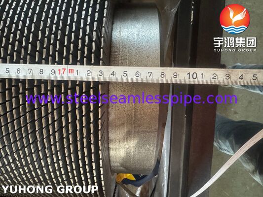 A335 P22 दांतेदार फिन्ड ट्यूब्स HRSG और हीट रिकवरी सिस्टम के लिए CS फिन्स के साथ