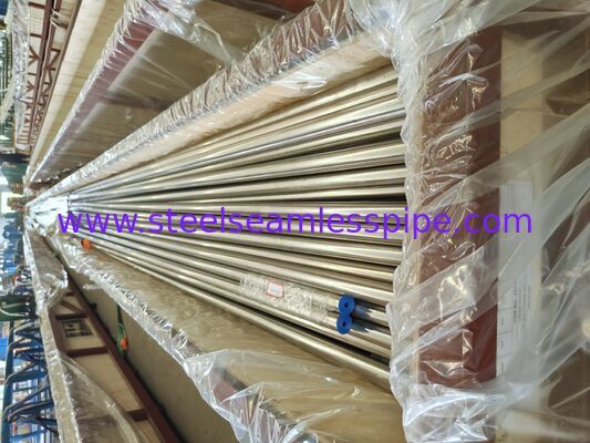 ASME SA213 TP304H सुपरहीटर और रीहीटर के लिए सीमलेस बॉयलर ट्यूब