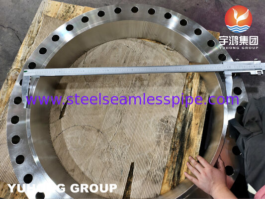 ASTM A182 F316L WNRF जंग लगने वाली पाइप प्रणाली के लिए स्टेनलेस स्टील के फोर्ज्ड फ्लैंज