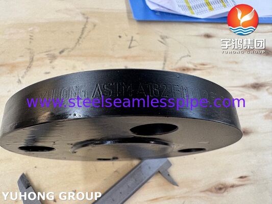 ASTM A182 Grade F11 CL2 Blind Flange Alloy Steel Flange BLRF Flange for Oil and Gas Industry