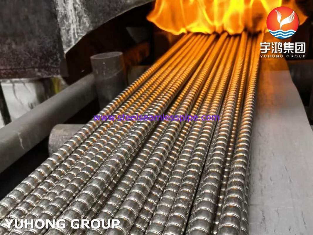 ASME SA312 / ASTM A312 TP310S हीट एक्सचेंजर के लिए नालीदार फिन ट्यूब