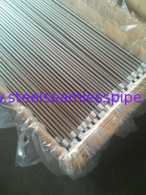 उज्ज्वल annealed स्टेनलेस स्टील ट्यूब एएसटीएम A213 / ASME SA213-10a TP304 / TP304H / हीट एक्सचेंजर के लिए TP304L