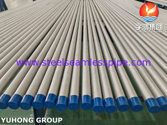 ASTM A213 TP316L 1.4404 पानी के उपचार के लिए निर्बाध स्टेनलेस स्टील ट्यूब, ET / HT