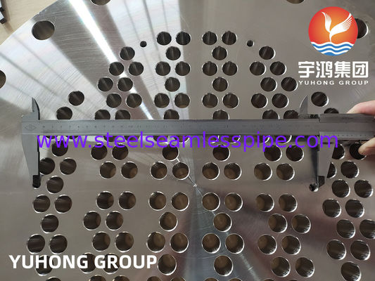 ASTM A182/ ASME SA182 F51, F53, F60, F55 डुप्लेक्स या सुपर डुप्लेक्स ट्यूबशीट